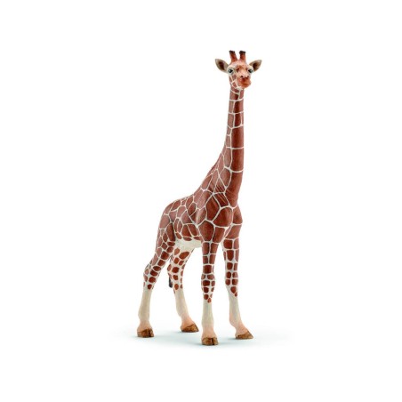 Compra Schleich Jirafa Hembra al mejor precio | Juguetilandia Canarias
