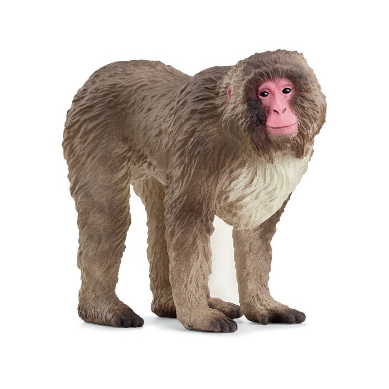 Compra Schleich Macaco Japonés al mejor precio | Juguetilandia Canarias