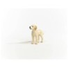 Compra Schleich Perro Goldendoodle al mejor precio | Juguetilandia Canarias