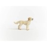 Compra Schleich Perro Goldendoodle al mejor precio | Juguetilandia Canarias