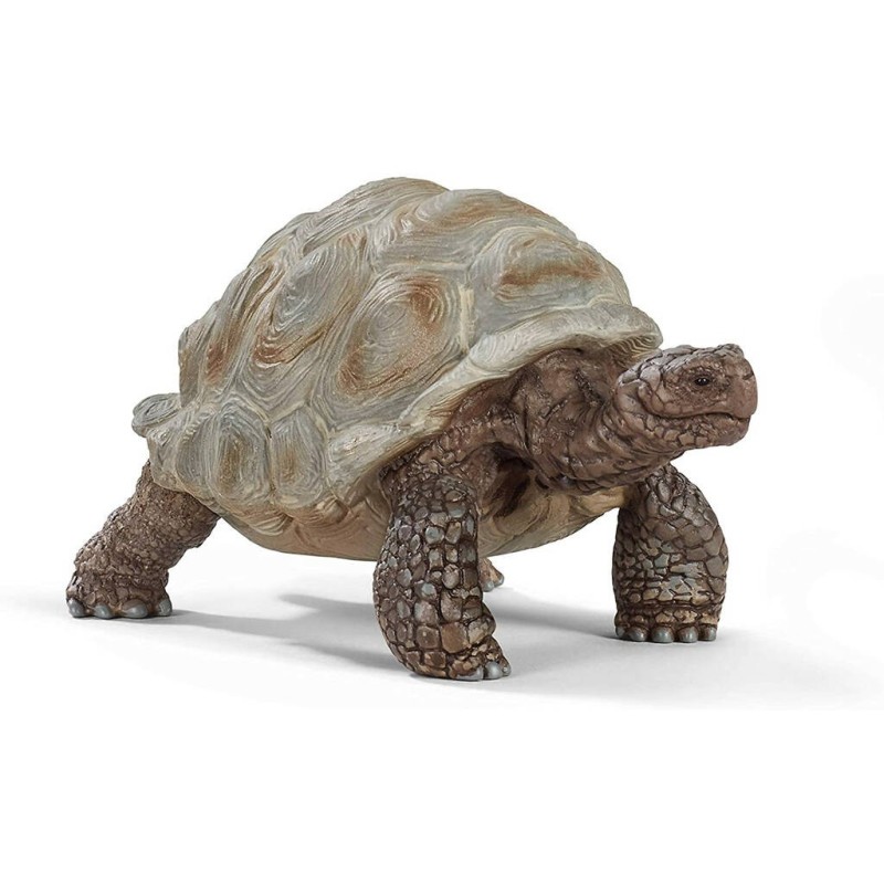 Compra Schleich Tortuga Gigante al mejor precio | Juguetilandia Canarias Compra Schleich Tortuga Gigante al mejor precio | Juguetilandia Canarias