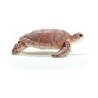 Compra Schleich Tortuga Marina al mejor precio | Juguetilandia Canarias Compra Schleich Tortuga Marina al mejor precio | Juguetilandia Canarias