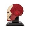 Compra Spin Master Puzzle 4d Marvel Casco Iron Man al mejor precio | Juguetilandia Canarias Compra Spin Master Puzzle 4d Marvel Casco Iron Man al mejor precio | Juguetilandia Canarias