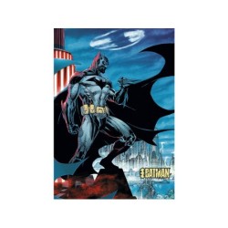 Compra Toy Partner Trefl Puzzles 1000 Piezas Premium Batman al mejor precio | Juguetilandia Canarias