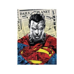 Compra Toy Partner Trefl Puzzles 1000 Piezas Premium Superman al mejor precio | Juguetilandia Canarias