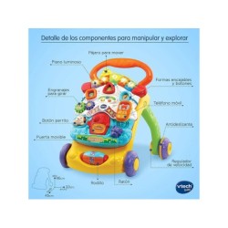 Compra Vtech Andador Andandin 2 En 1 al mejor precio | Juguetilandia Canarias